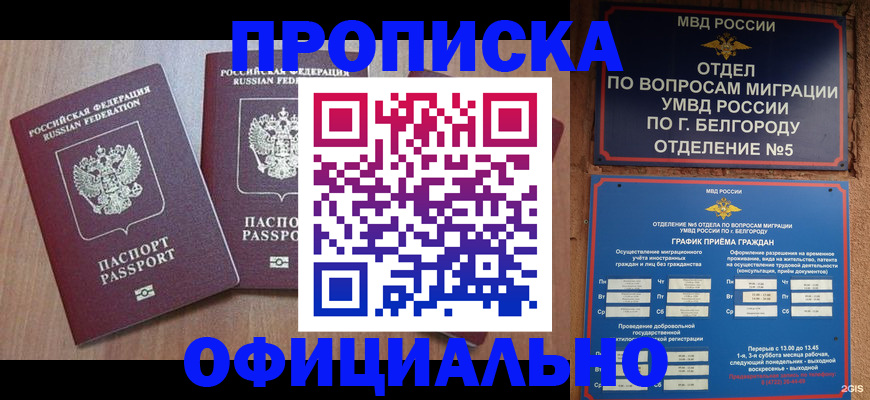 найти адрес прописки в Плавске